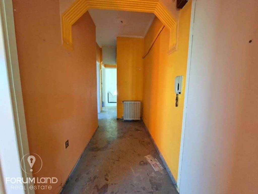 Forumland Real Estate, Χωλ