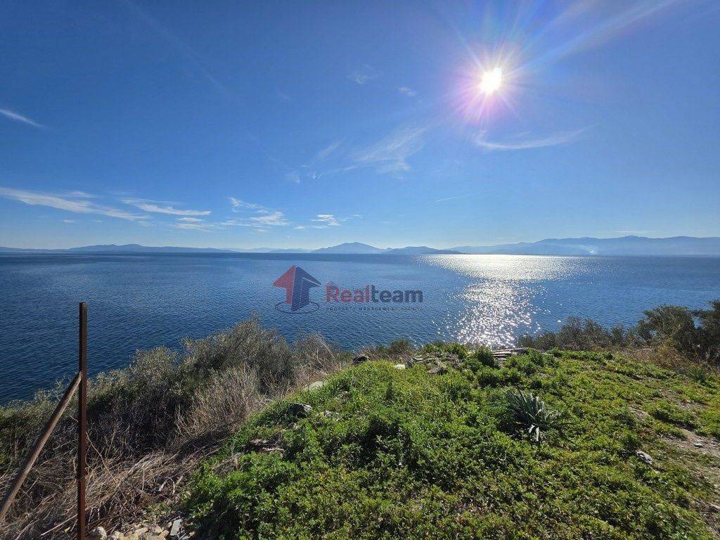 Εξωτερικοι χώροι