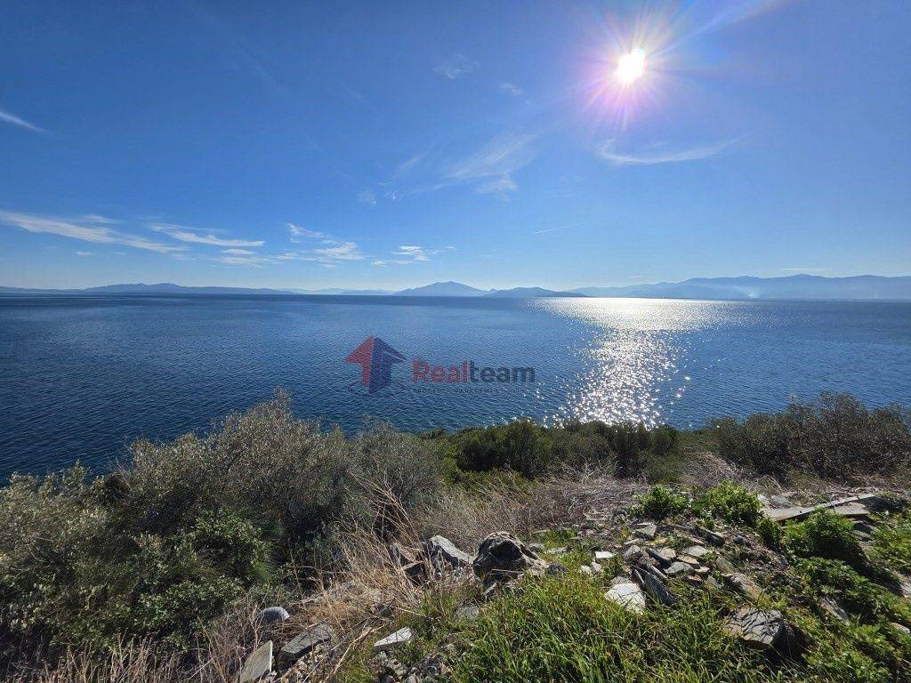 Εξωτερικοι χώροι