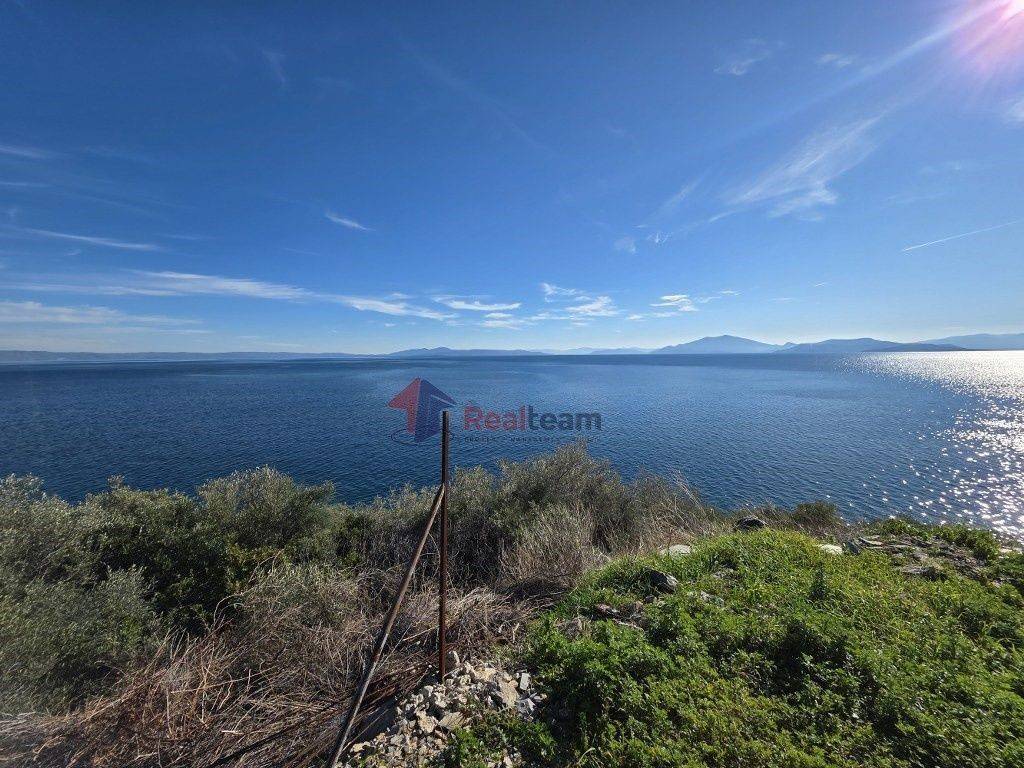 Εξωτερικοι χώροι