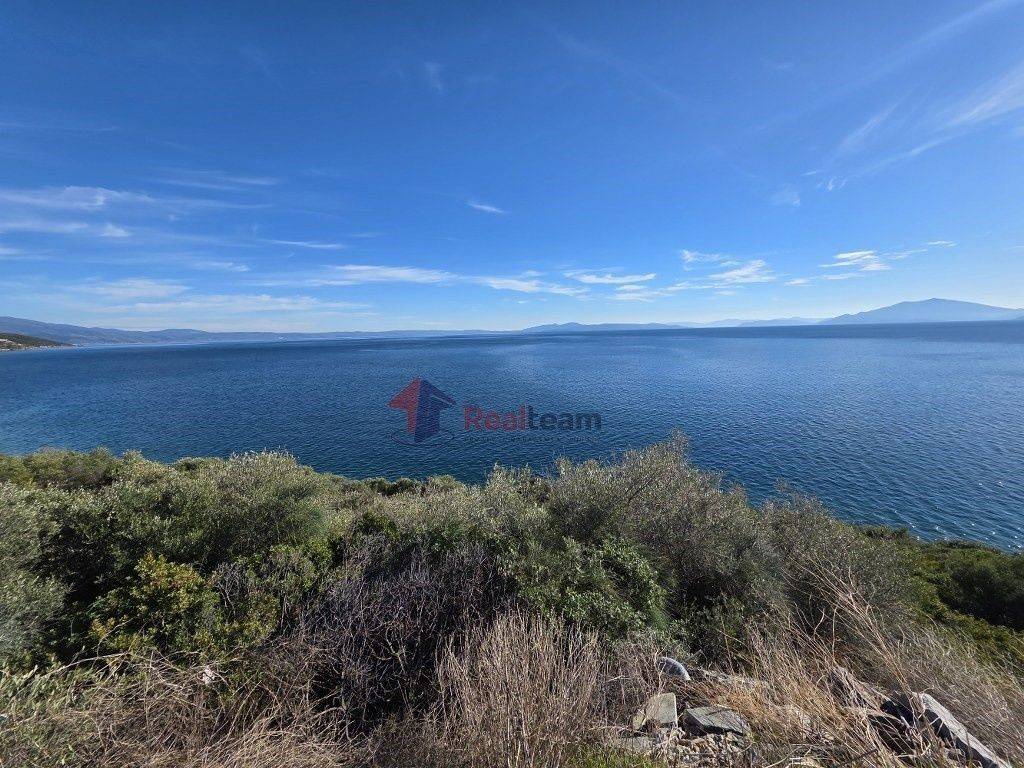 Εξωτερικοι χώροι