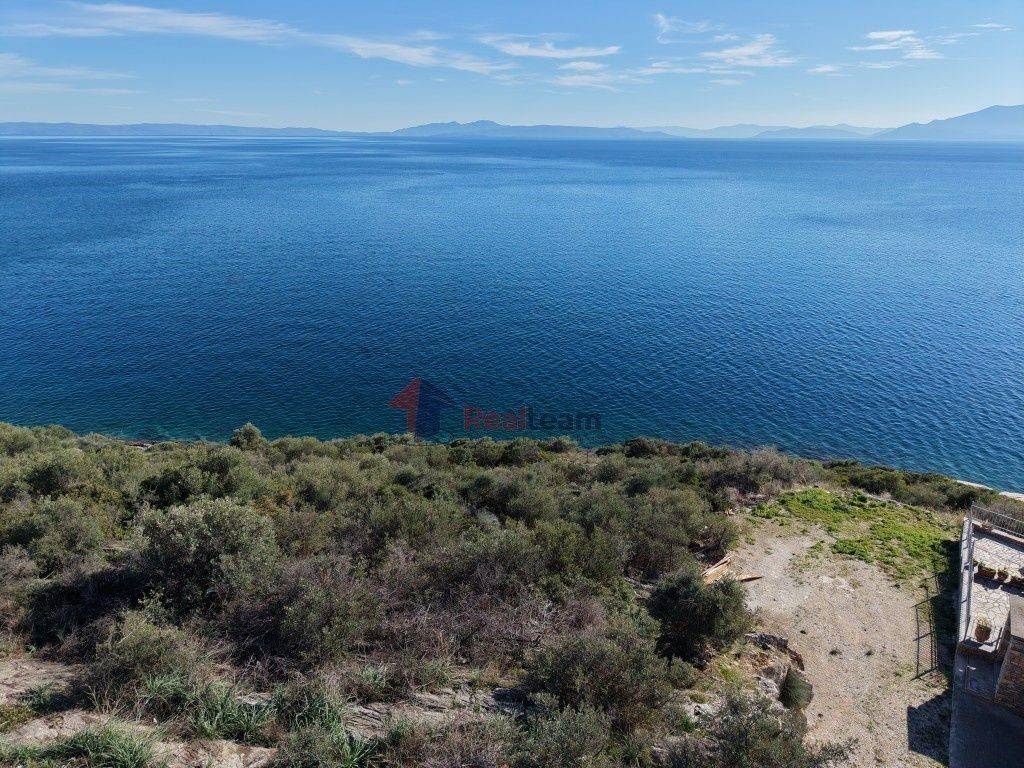 Εξωτερικοι χώροι