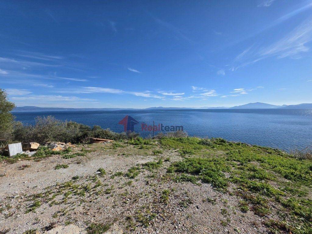 Εξωτερικοι χώροι