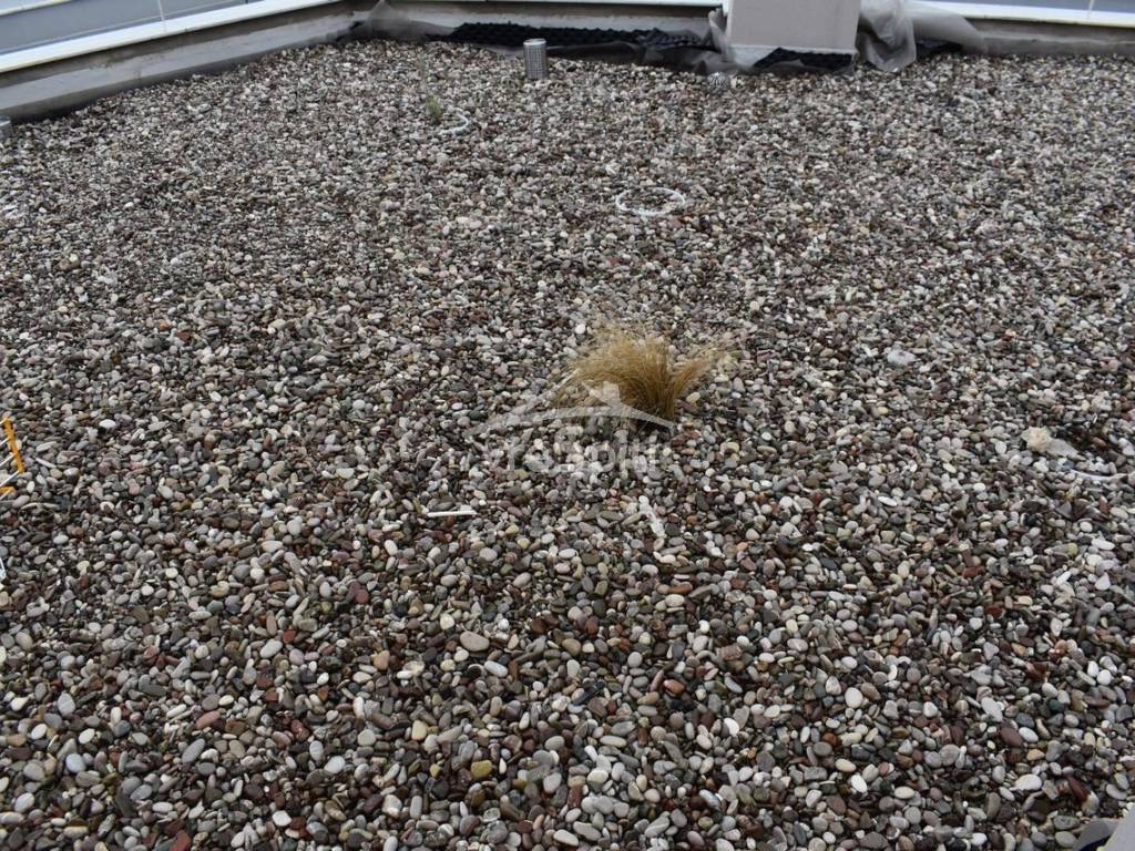 ΑΠΟΨΗ ΕΞΩΤΕΡΙΚΟΥ ΧΩΡΟΥ