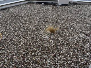 ΑΠΟΨΗ ΕΞΩΤΕΡΙΚΟΥ ΧΩΡΟΥ