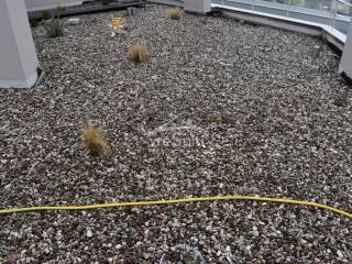 ΑΠΟΨΗ ΕΞΩΤΕΡΙΚΟΥ ΧΩΡΟΥ