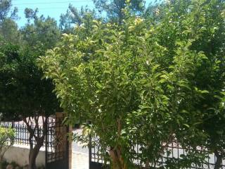 Εξωτερικοι χώροι