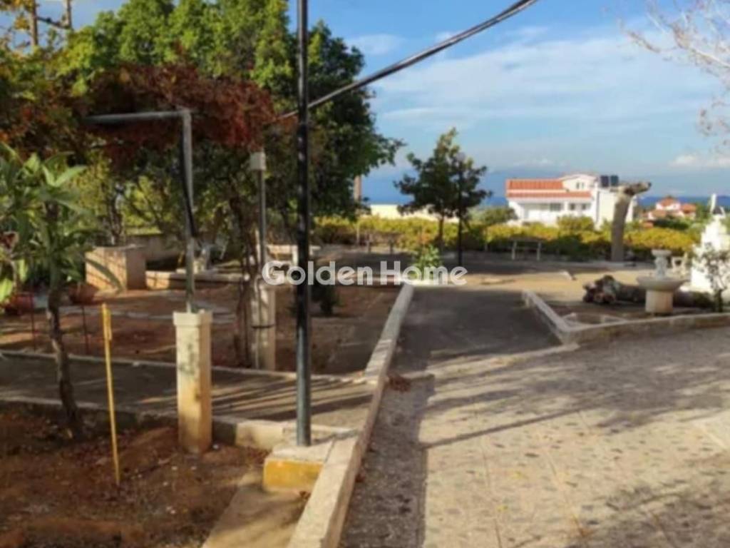 Εξωτερικός Χώρος