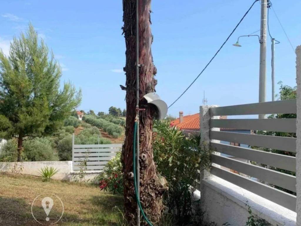 Forumland Real Estate, Κήπος