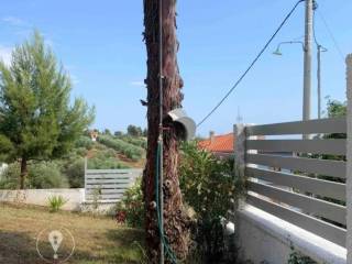 Forumland Real Estate, Κήπος