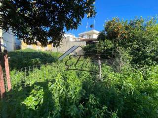 Άποψη οικοπέδου