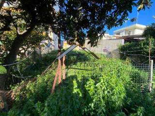 Άποψη οικοπέδου