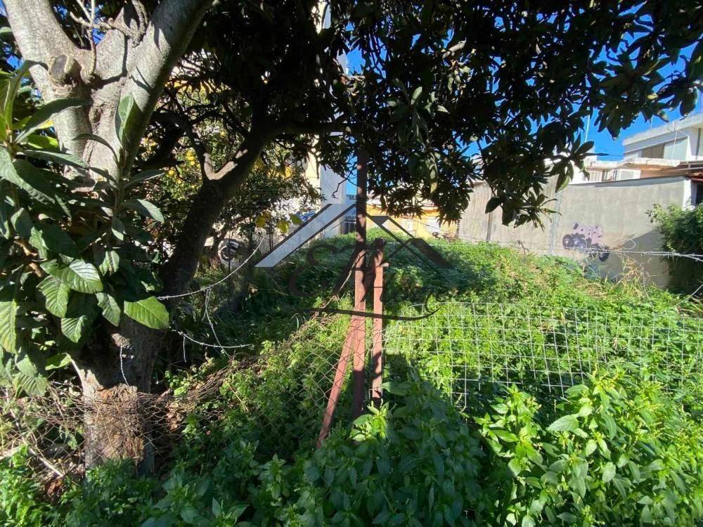 Άποψη οικοπέδου