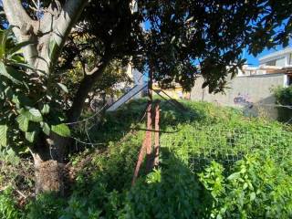 Άποψη οικοπέδου