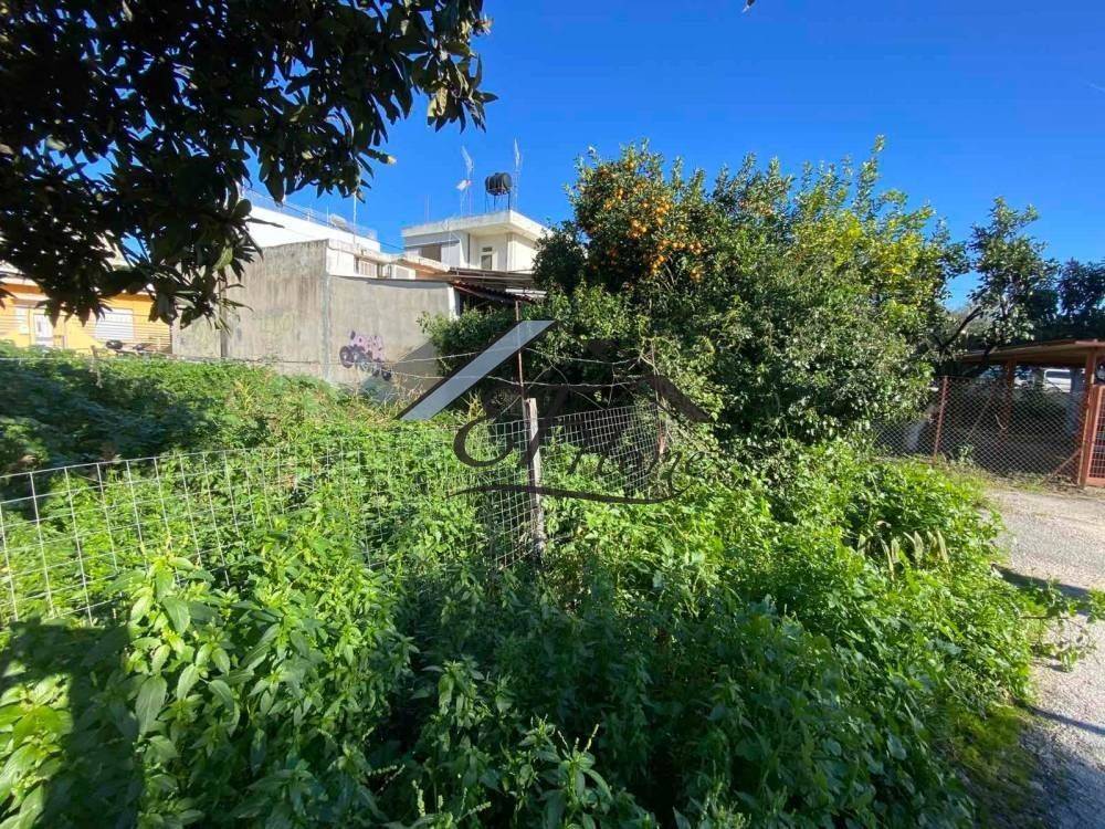 Άποψη οικοπέδου