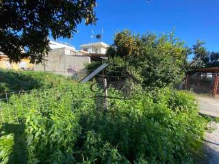 Άποψη οικοπέδου