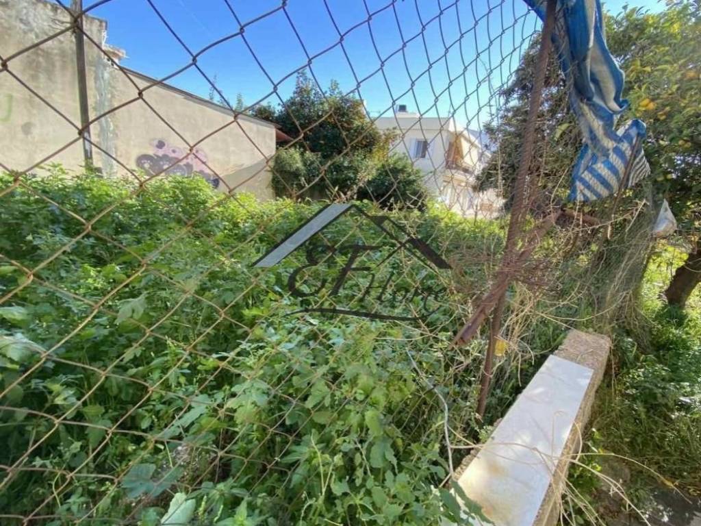 Άποψη οικοπέδου