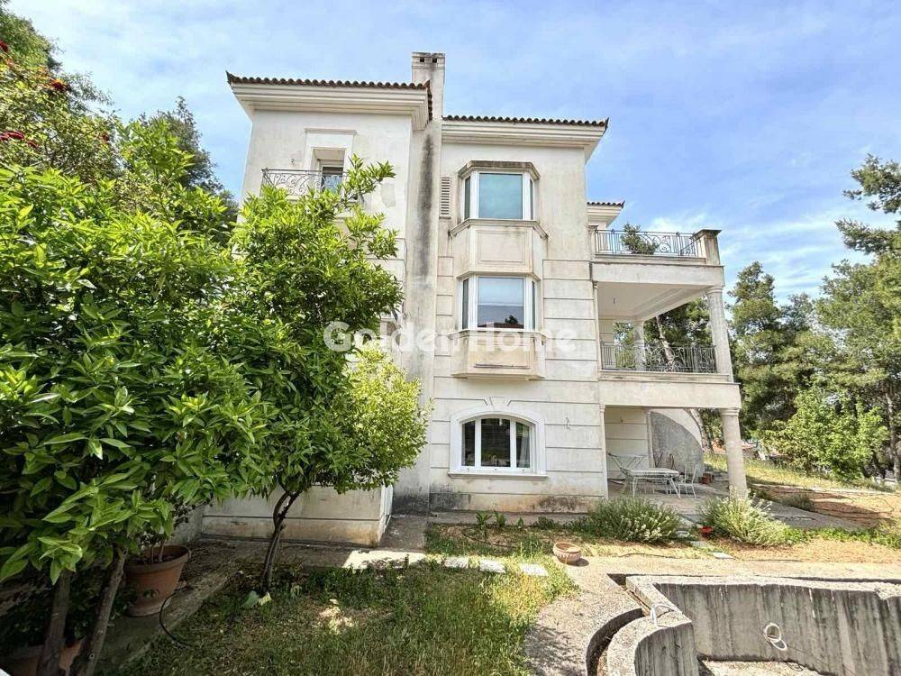 Ανελκυστήρας