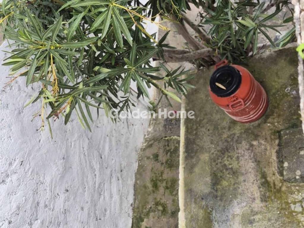 Εξωτερικός Χώρος