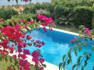 Villa - Grekodom 10941|134932