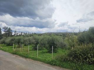 Plot - Grekodom 65231|1043382