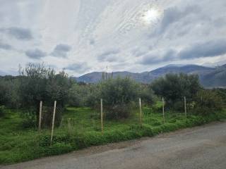 Plot - Grekodom 65231|1043381