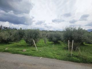 Plot - Grekodom 65231|1043379