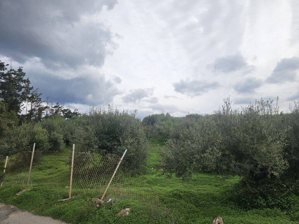 Plot - Grekodom 65231|1043383