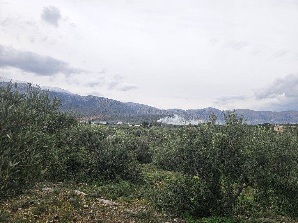 Plot - Grekodom 65231|1043384