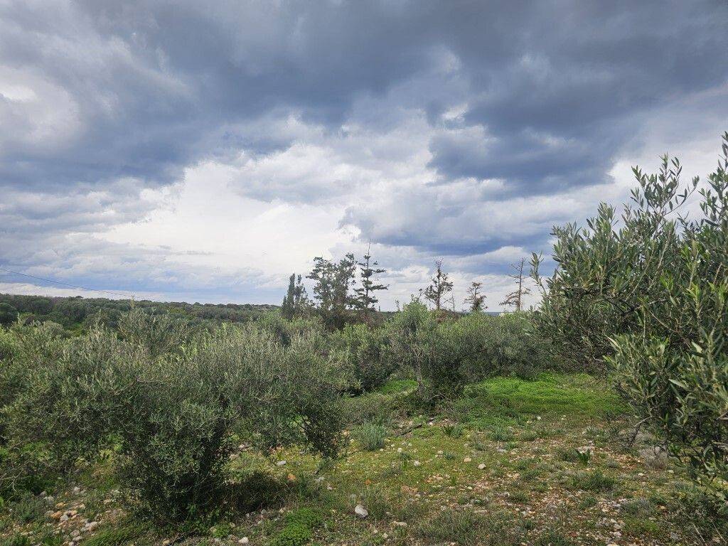 Plot - Grekodom 65231|1043385