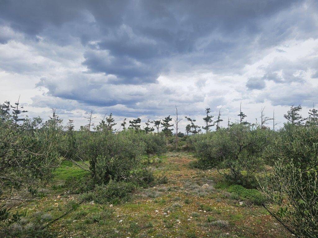 Plot - Grekodom 65231|1043386