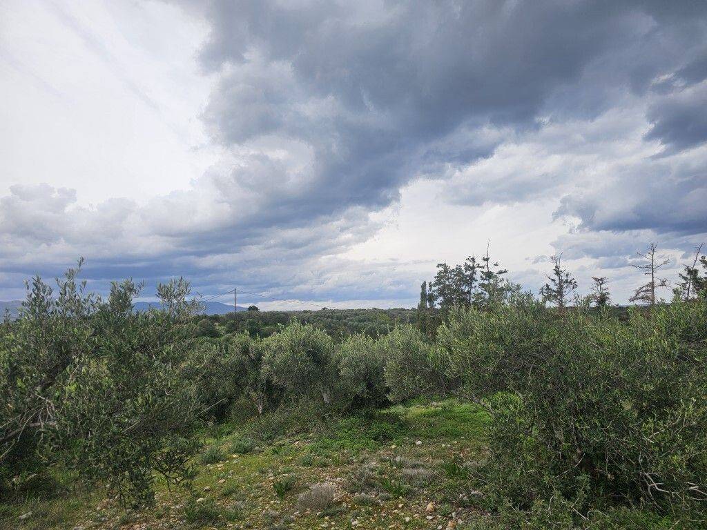 Plot - Grekodom 65231|1043387