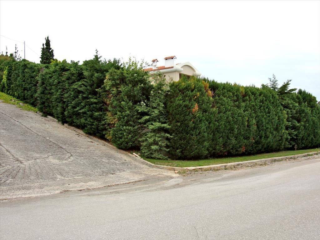 Villa - Grekodom 10941|134912