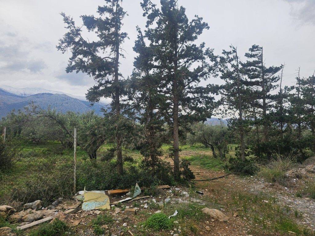 Plot - Grekodom 65231|1043393