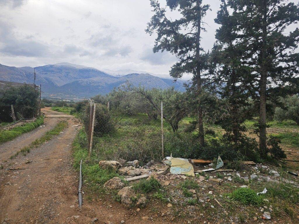 Plot - Grekodom 65231|1043391