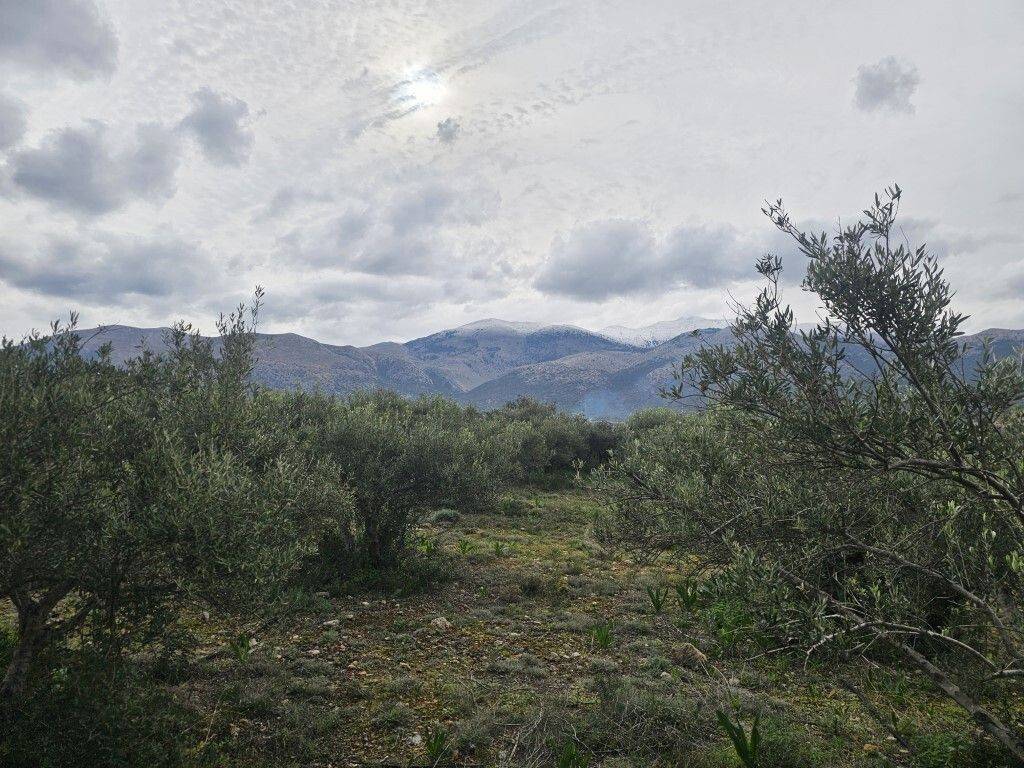 Plot - Grekodom 65231|1043390