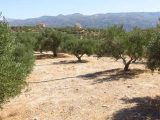 Μέρος του οικοπέδου