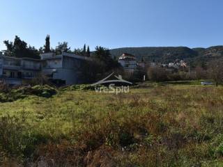 ΑΠΟΨΗ ΑΚΙΝΗΤΟΥ