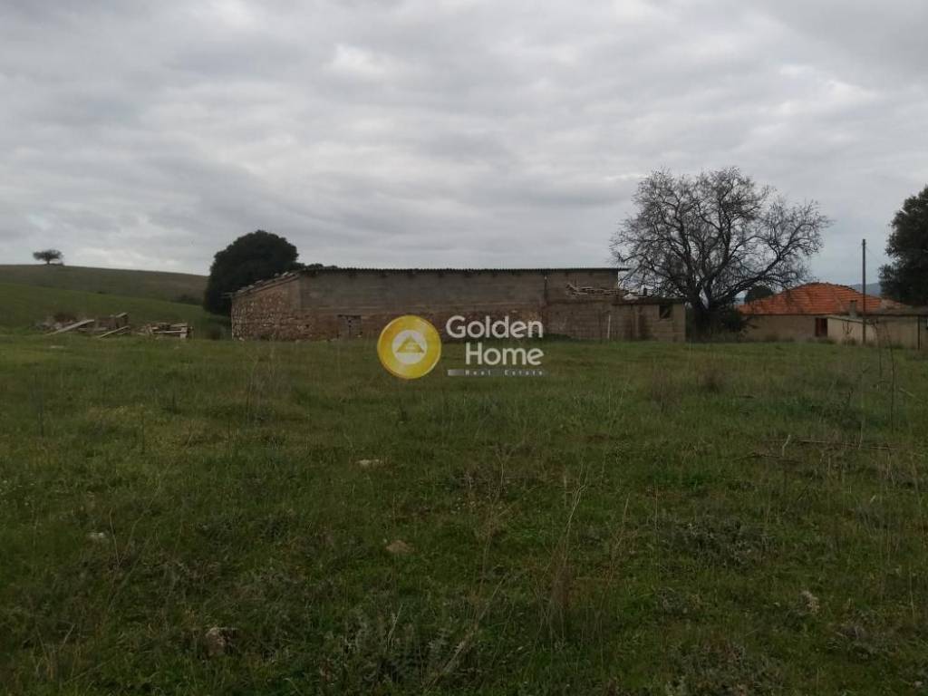 Εξωτερικός Χώρος