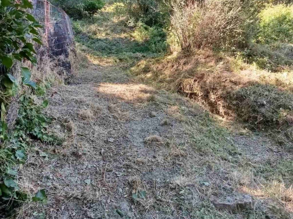 schedon 4 stremmata me 70