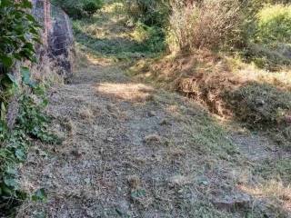 schedon 4 stremmata me 70