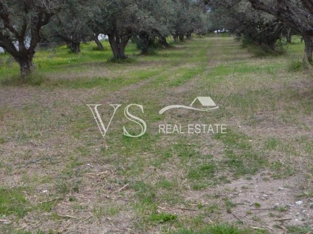 αποψη οικοπεδου