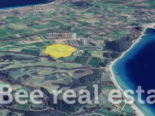 Άποψη εξωτερικού χώρου