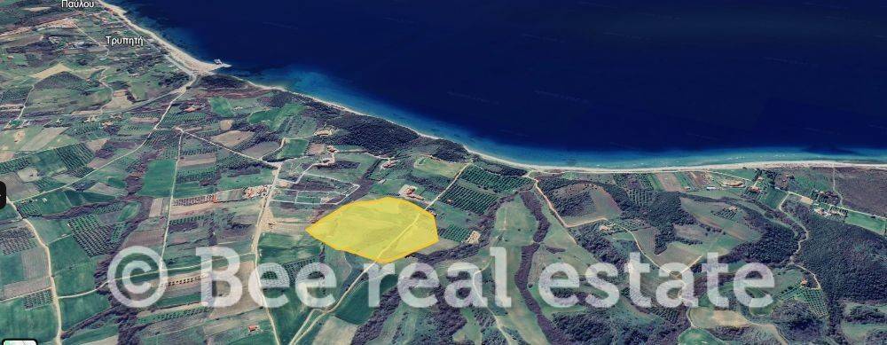 Άποψη εξωτερικού χώρου