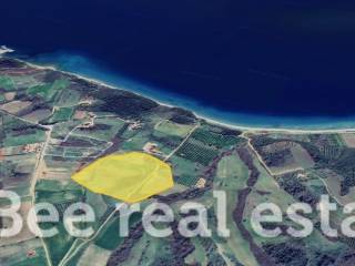 Άποψη εξωτερικού χώρου