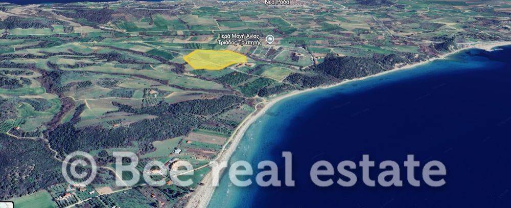 Άποψη εξωτερικού χώρου