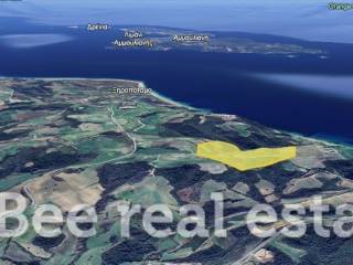 Άποψη εξωτερικού χώρου