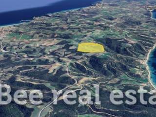 Άποψη εξωτερικού χώρου