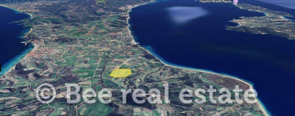 Άποψη εξωτερικού χώρου