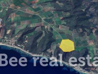 Άποψη εξωτερικού χώρου